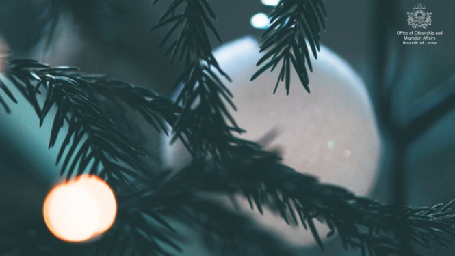 Christmas tree with lights