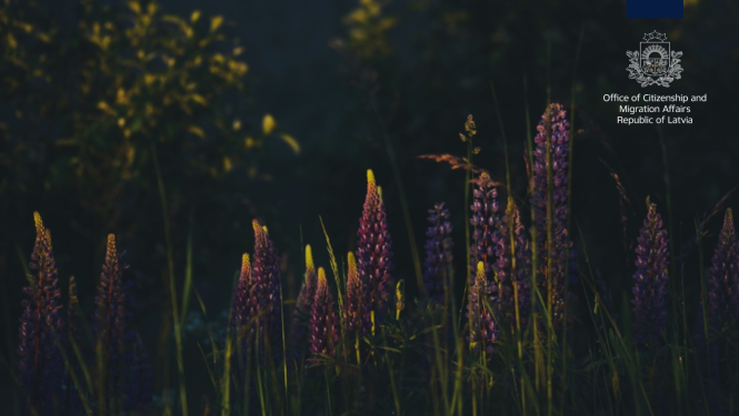 Jāņu zāles un PMLP logo angliski