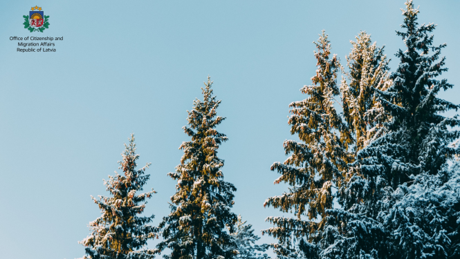 Christmas tree under snow