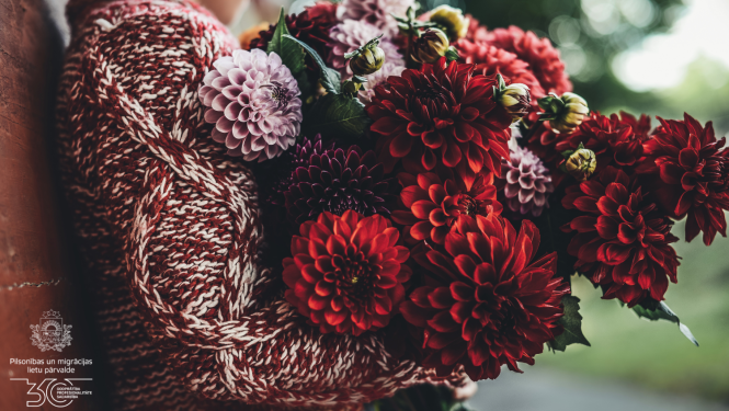 Tumši sarkanās puķes