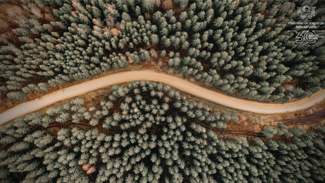 Ceļš mežā, nofotografēts no putna augstuma, 