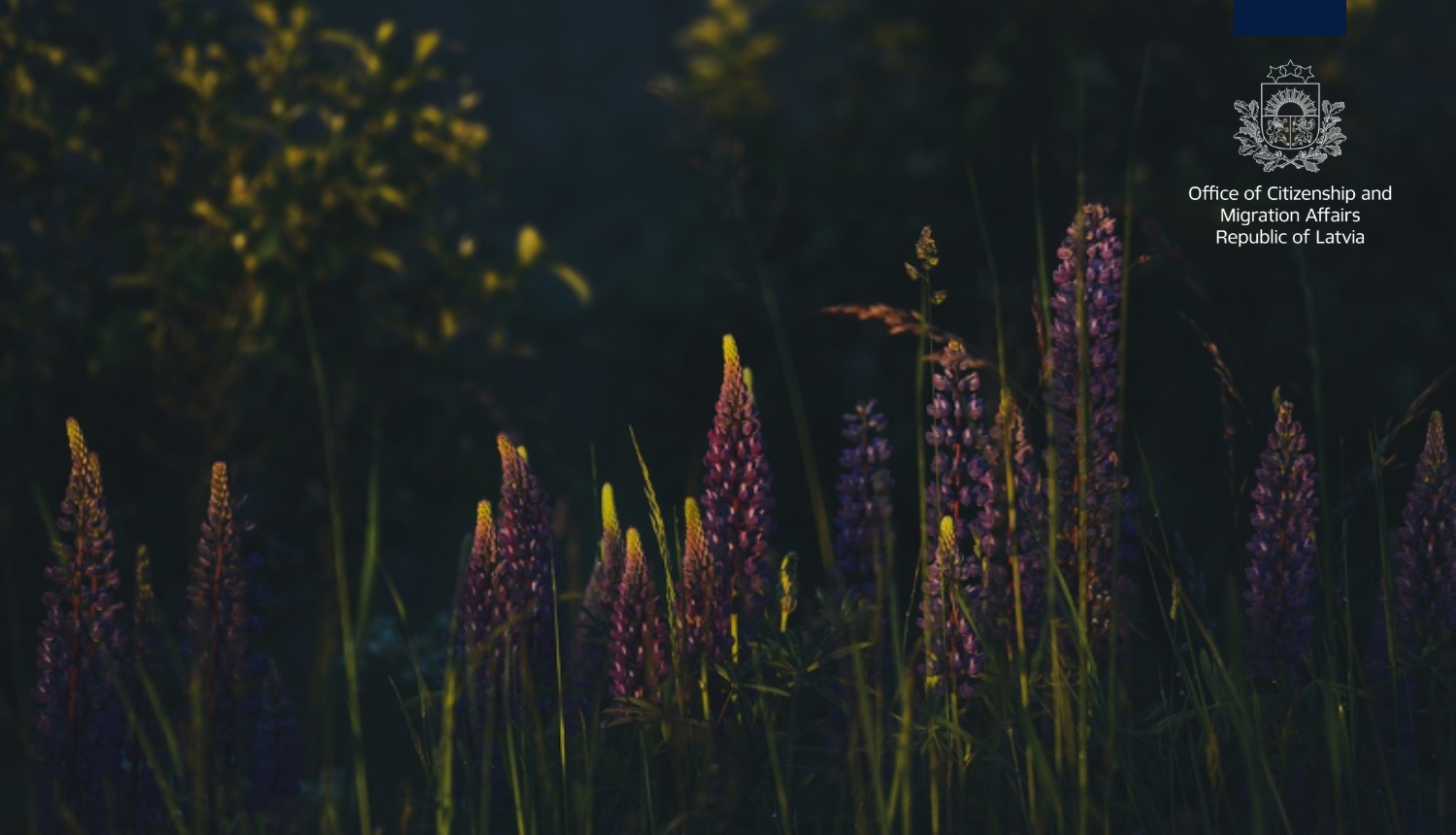 Jāņu zāles un PMLP logo angliski