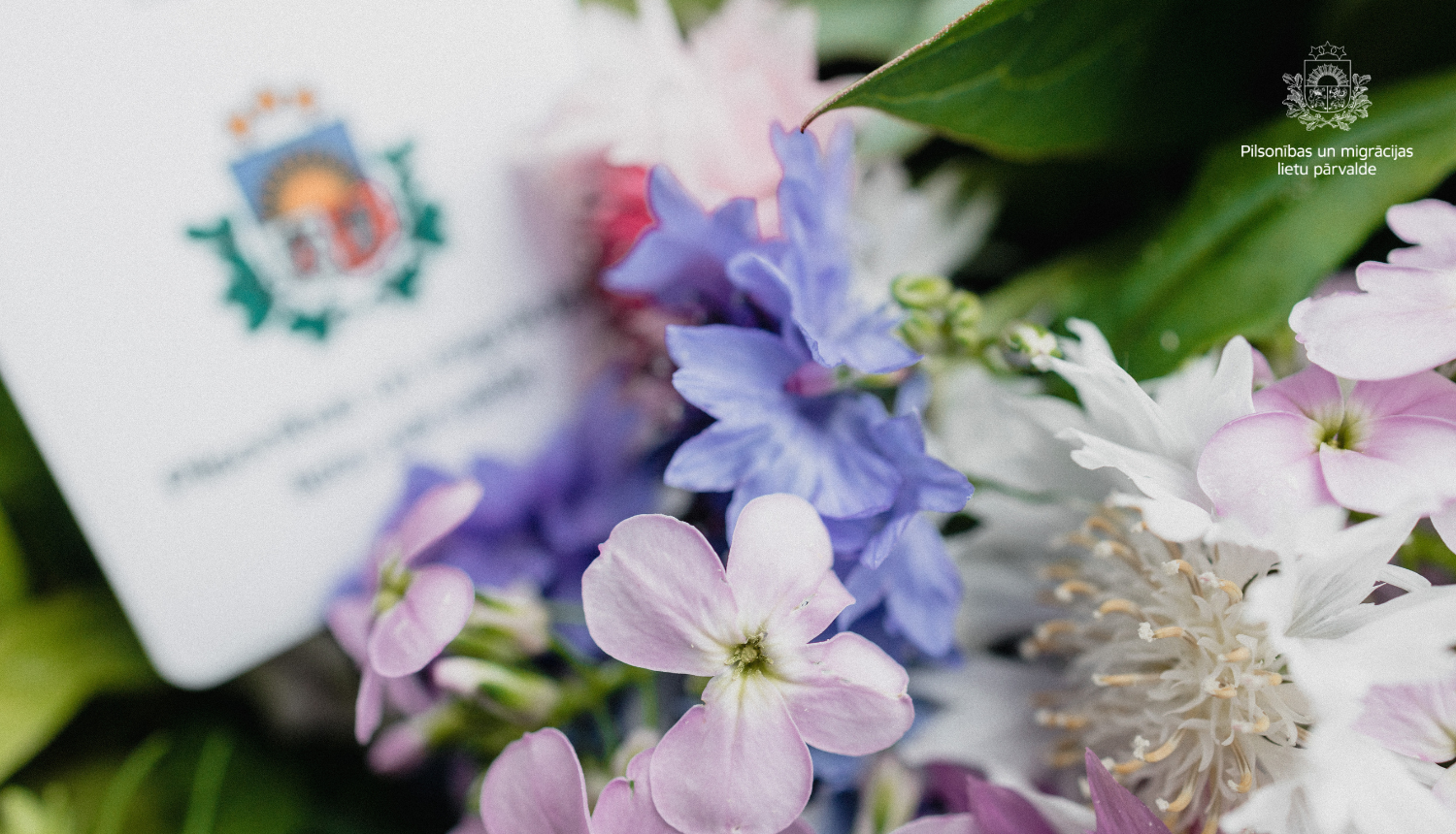 Daudzkrāsainas puķes uz PMLP ģērboņa fona