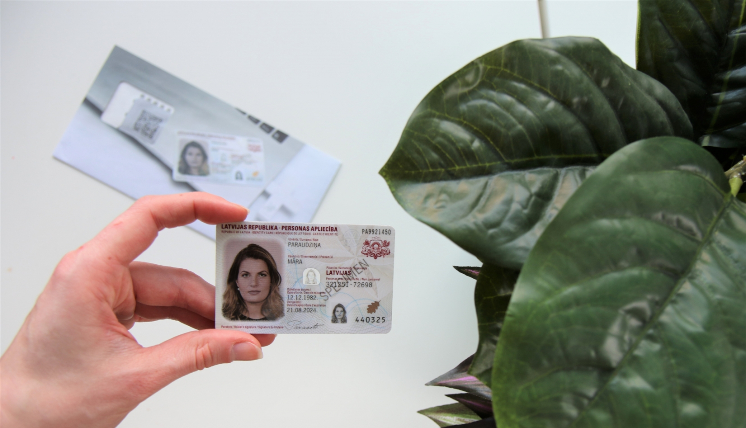 SIevietes roka tur eId karti, blakus mājas augam