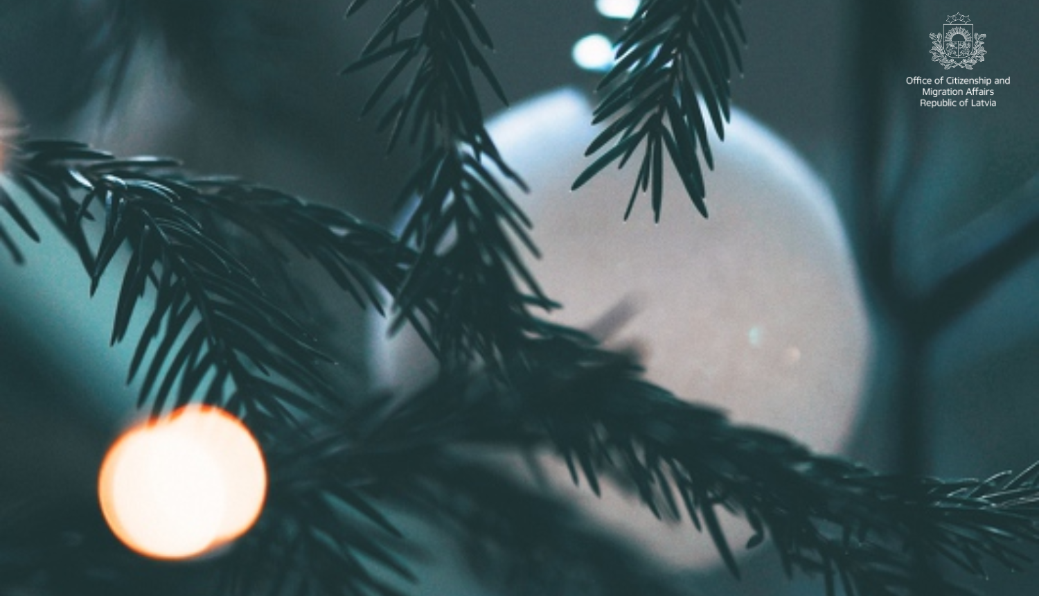 Christmas tree with lights